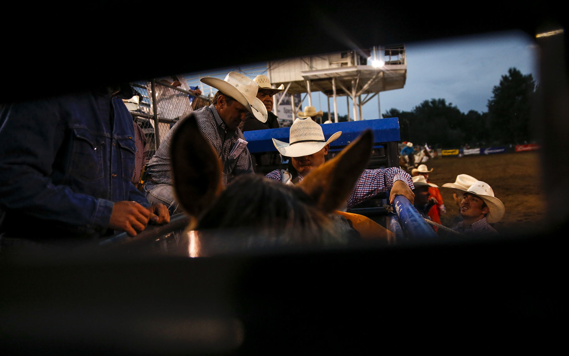 Rodeo